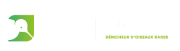 KIWI Emploi